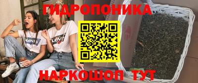 индика Наро-Фоминск