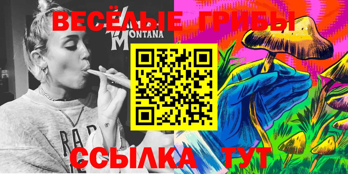 Псилоцибиновые грибы прущие грибы  Псилоцибиновые грибы GOLDEN TEACHER  Вход с VPN  Самара 