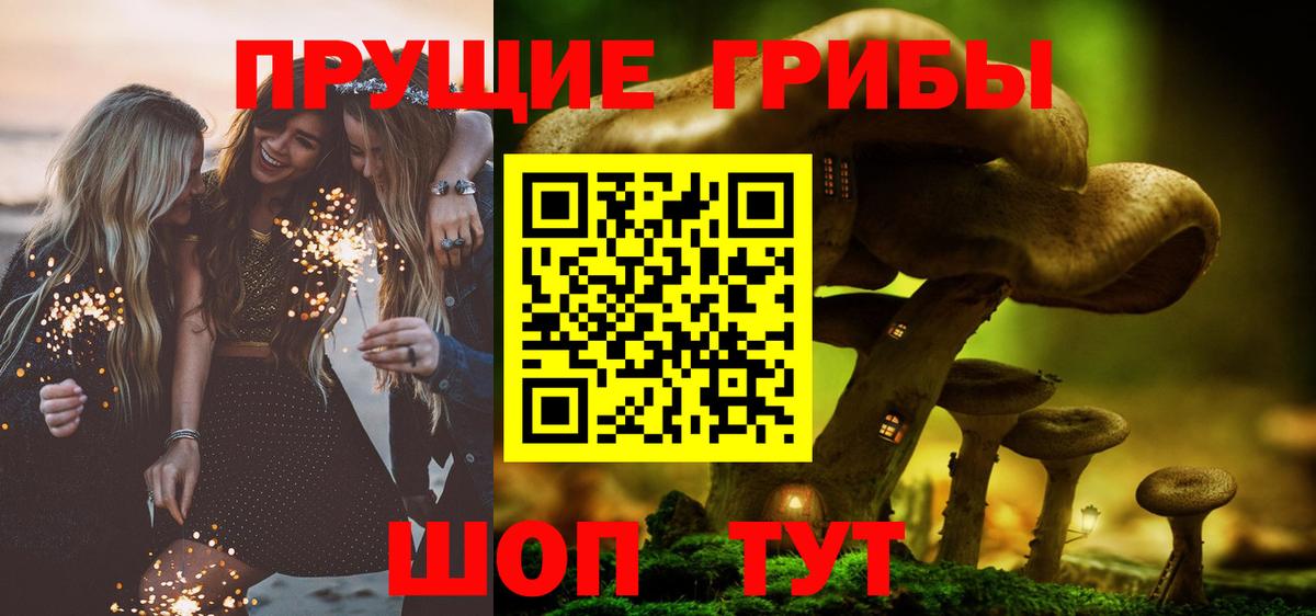 Галлюциногенные грибы Cubensis Самара