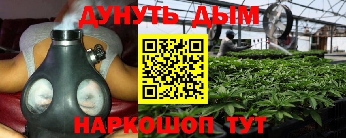 Самара  МАРИХУАНА SATIVA & INDICA  Вход с VPN  Конопля White Widow 